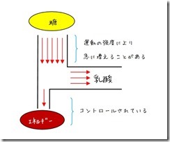 乳酸ができるプロセス