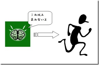 脳からの信号