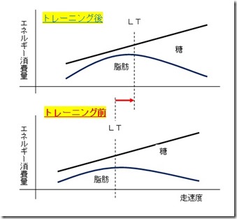 トレーニングとＬＴ
