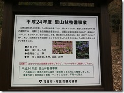 かたくり１