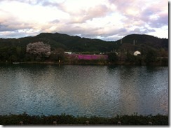 桜周回コース３