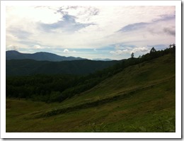IMG_0884