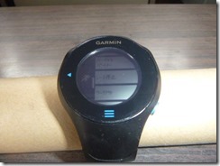 P1000408
