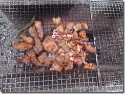 P1000585