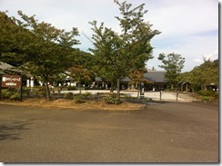 IMG_1017