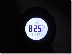 P1010130