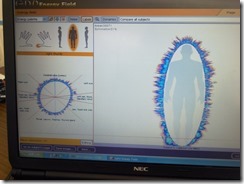 P1000014
