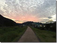 IMG_1425