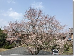 IMG_1916