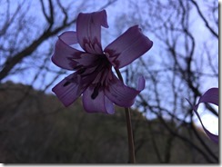 IMG_1920