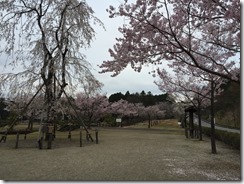 IMG_1929