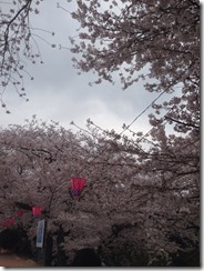S__1097740
