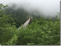IMG_2239
