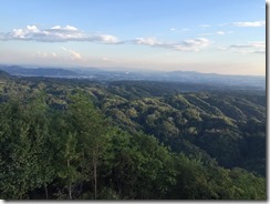 IMG_2441