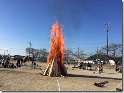 IMG_2642