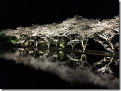 IMG_2822