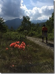 IMG_3053