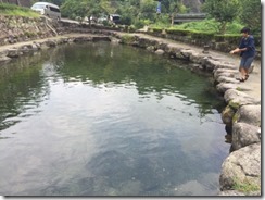 IMG_0456