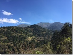 IMG_3431