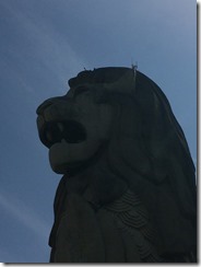 IMG_1069