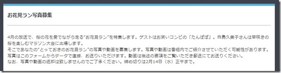 とっておきのお花見ラン１