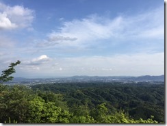 IMG_2441