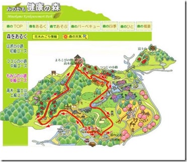 Mトレコース