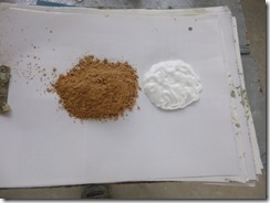 P1050650