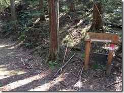 IMG_4723
