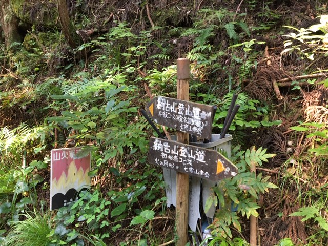 登山&トレラン