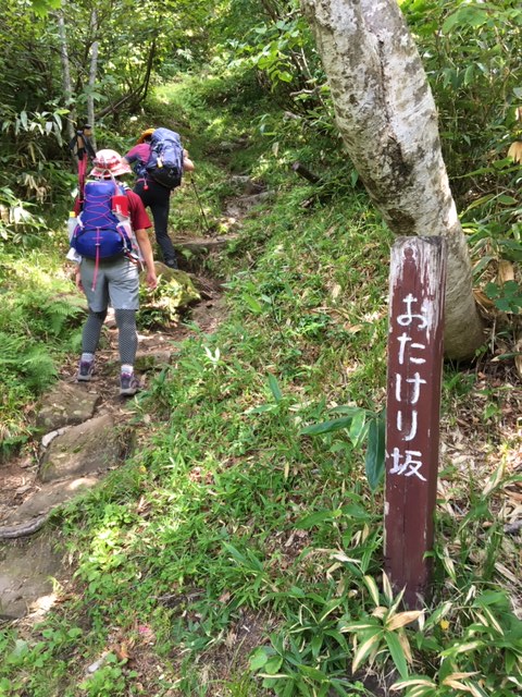 銚子ヶ峰登山