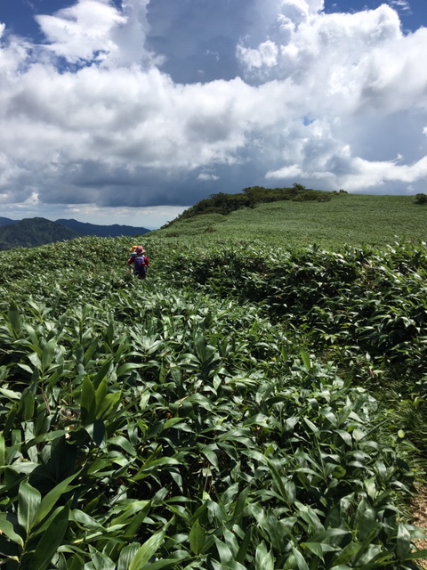銚子ヶ峰登山