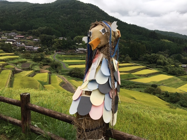 坂折棚田