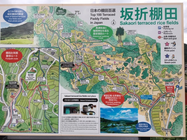 坂折棚田