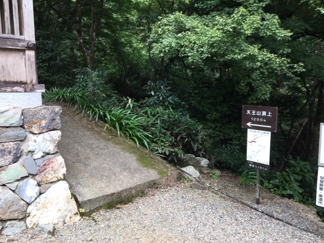 天王山トレラン