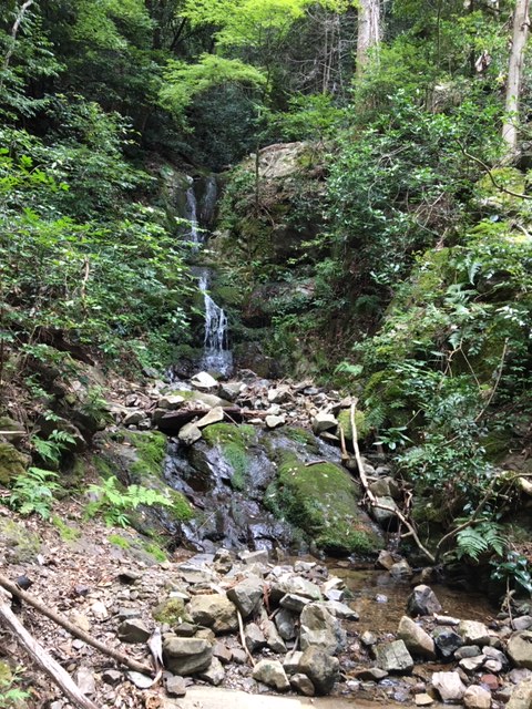 天王山トレラン