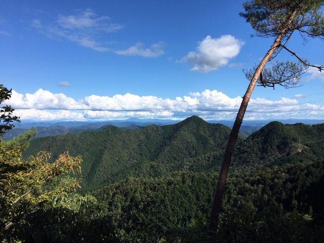 天王山トレラン