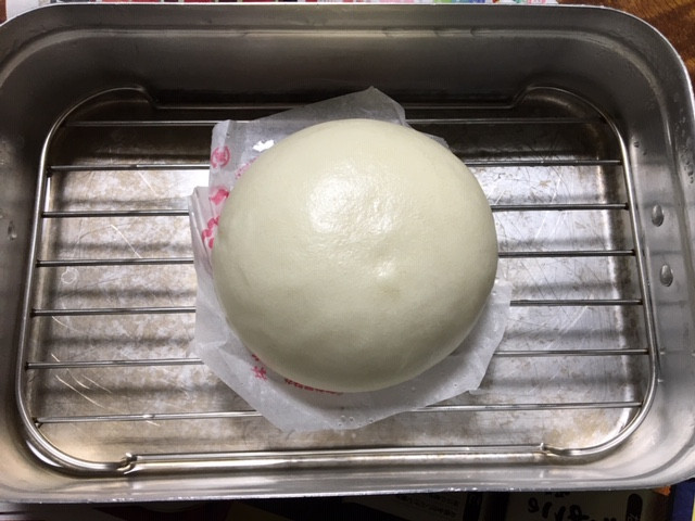 トランギアメスティン