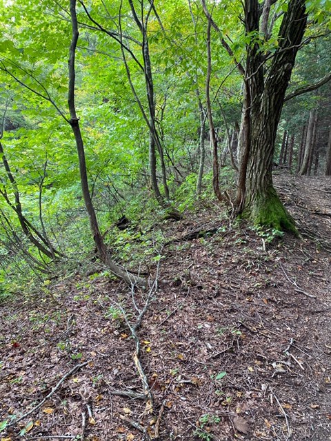 貝月山登山