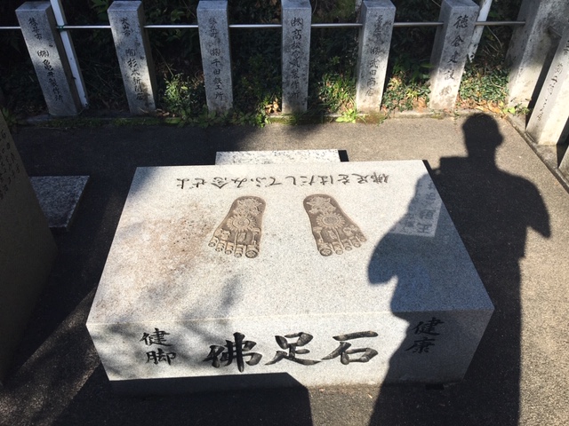 鳩吹山トレラン