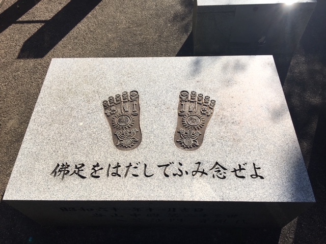 鳩吹山トレラン