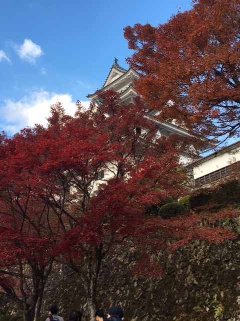 紅葉ラン