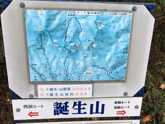 大矢田神社トレラン
