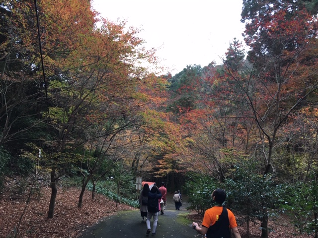 大矢田神社トレラン