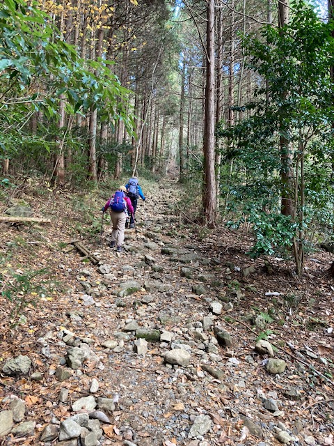 高賀山登山