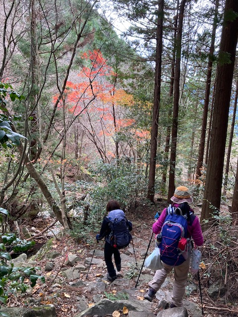 高賀山登山