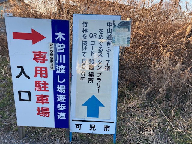 木曽川渡し遊歩道竹林