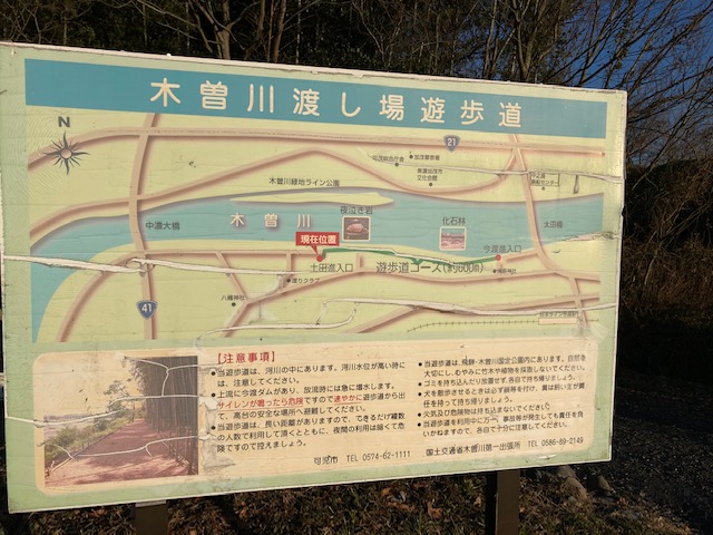 木曽川渡し遊歩道竹林