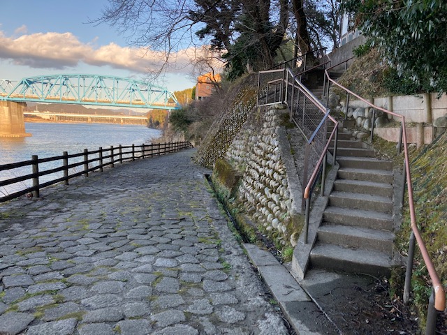 木曽川渡し遊歩道竹林