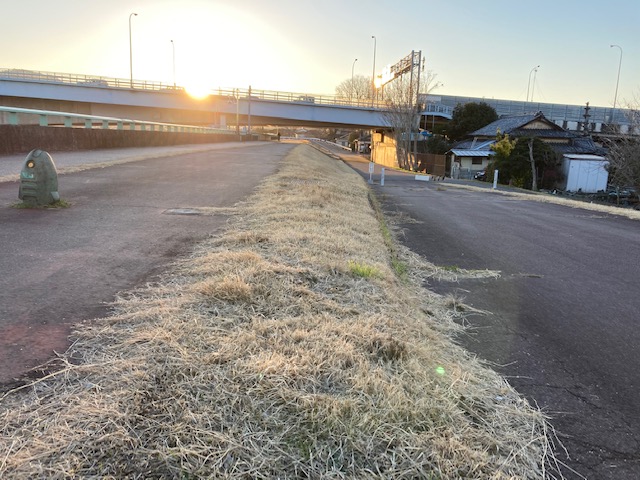 木曽川渡し遊歩道竹林